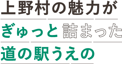 上野村の魅力がぎゅっと詰まった道の駅うえの