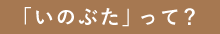 「いのぶた」って？