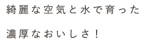 綺麗な空気と水で育った濃厚なおいしさ！